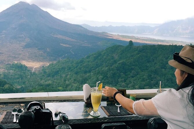 Monkey Forest, Holy Water Temple & Hot Springs Tours - Tegalalang Rice Terrace: irrigation stories you can actually use