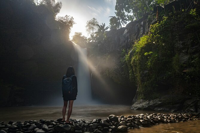 Monkey Forest, Temple, Waterfall and Rice Terrace in Ubud Tour - Private transport and guides who really shape the day