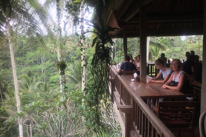Monkey Forest, Ubud, Waterfall and Rice Terrace - Pickup, Timing, and Why the Driver Matters More Than the Map