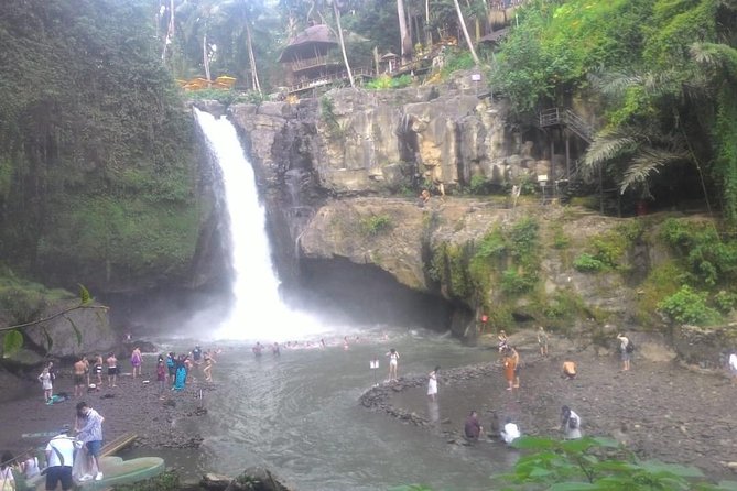 Monkey Forest, Ubud, Waterfall and Rice Terrace - Uma Pakel Agro Tourism: Civet Coffee Without the Hard Sell