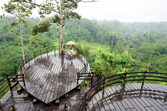 Monkey Forest, Ubud, Waterfall and Rice Terrace - Tegenungan Waterfall: A Cool Break and Real Time to Swim