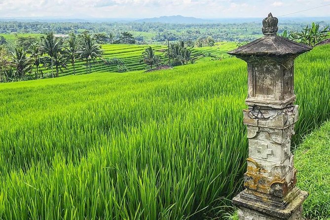 More Complete: Discover Bali In 3 Days Private Tour Package - Day 2 around Bratan, Jatiluwih, Tanah Lot sunset, and Leke Leke waterfall