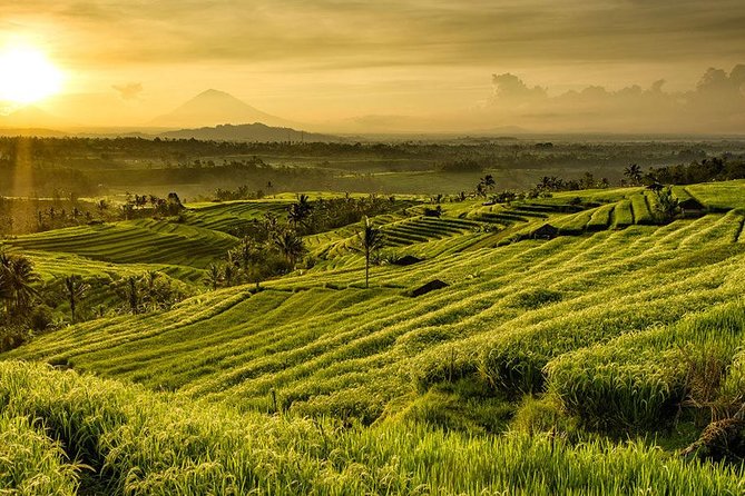 More Complete: Discover Bali In 3 Days Private Tour Package - Tickets, lunch, and what all-inclusive means on the ground