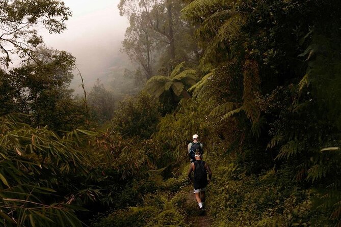 Mount Agung Sunrise Trekking with Local Guide - Summit views and photo stops that don’t feel rushed