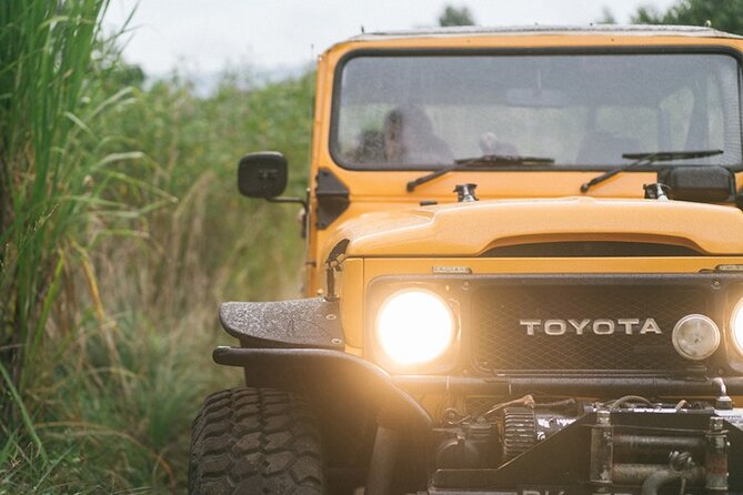 Mount Batur Black Lava Jeep Tour with Pickup - Mount Batur Stop: Lava Flows, Viewpoints, and Natural Caves