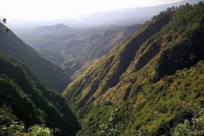 Mount Batur Sunrise Trekking and Rice Terrace Adventure - Tegalalang Rice Terraces: coffee break with big scenery