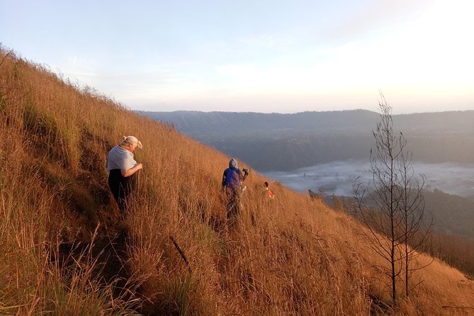 Mount Batur Sunrise Trekking Guide - Coffee plantation stop: what it adds to the day