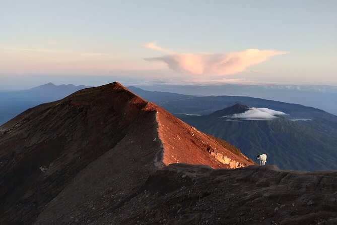 Mount Batur Sunrise Trekking, Hot Springs & Lunch at Restaurant - Who should book this Mount Batur sunrise trek and hot springs?