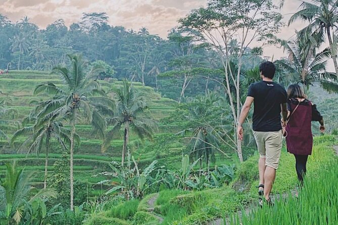 Mount Batur Sunrise Trekking Private Guide - Istana Tampak Siring and Kintamani: Cultural Stops Between Big Views