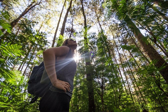 Mount Batur Sunrise Trekking With Breakfas - What’s included, and what you should budget for separately