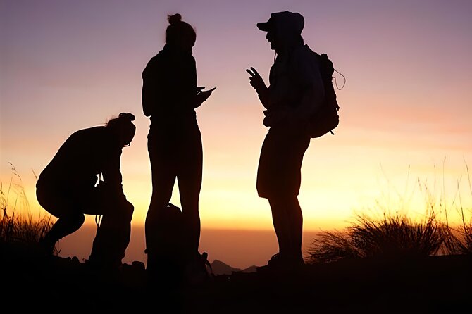 Mount Batur Sunrise Trekking with Natural Hot Springs - The coffee plantation stop at 11:30 AM, then back to your hotel