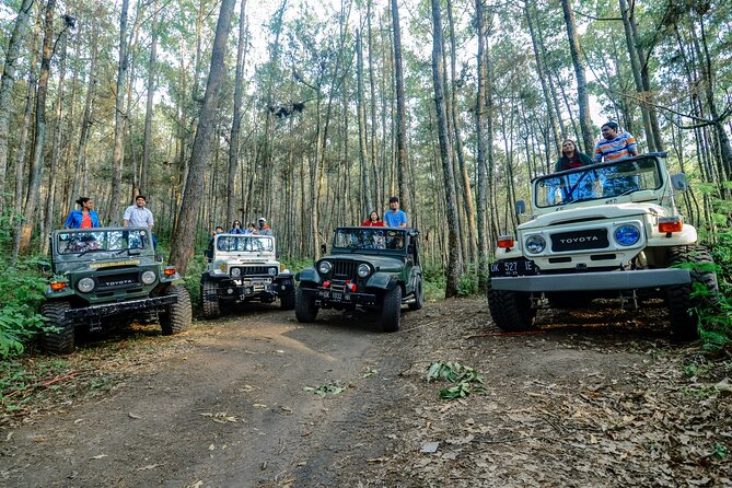 Mount Batur Trekking by 4wd Jeep - Key Things You Should Know Before You Go