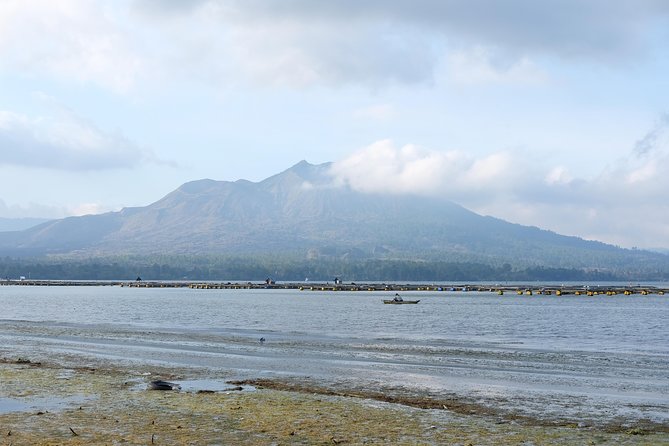 Mount Batur Trekking Sunrise Private Tour - The coffee plantation stop at ~11:30am, then back to your hotel by 1:30pm