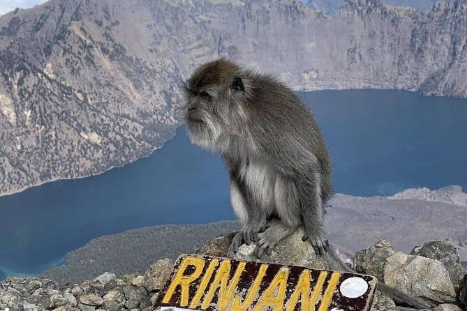 Mount Rinjani 2D 1N trekking to summit - Price and logistics: where the $160 really goes