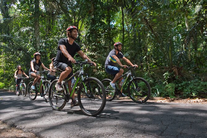 Mountain Cycling Tour - The cycling portion: about two hours of mostly downhill fun