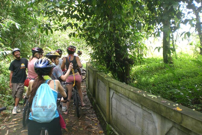 Mountain Cycling Tour - Village life, temples, rice fields, and a fruit and spice break