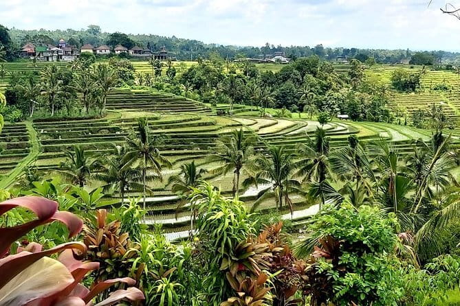 Munduk Highlights: Stunning North Bali Waterfalls & Temple - Wanagiri lunch time: a needed pause before the last waterfall