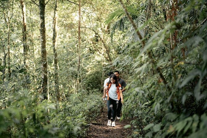 Munduk Twin Lake Jungle Hike, Ulun Danu Temple, & Waterfall - Pickup, Meeting Point, and the Simple Flow of the Day