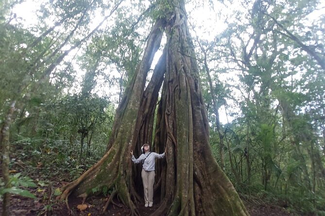 Munduk Twin Lake Jungle Trek with Sacred Forest Temples&Canoeing - Canoeing on Lake Tamblingan: calm water after the hike