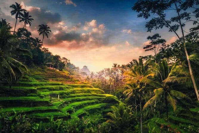 Myth of Pejeng Walking Tour - Coffee, tea, snack, and why it matters on a temple day