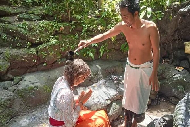 natural holy waterfalls healing tour. - Stop 3: Tegalalang Rice Terrace lunch and panorama time (1 hour)