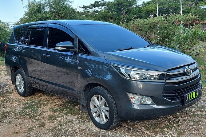 Ngurah Rai International Airport Private Arrival Transfer - Private, Air-Conditioned Ride to Bali Hotel Zones