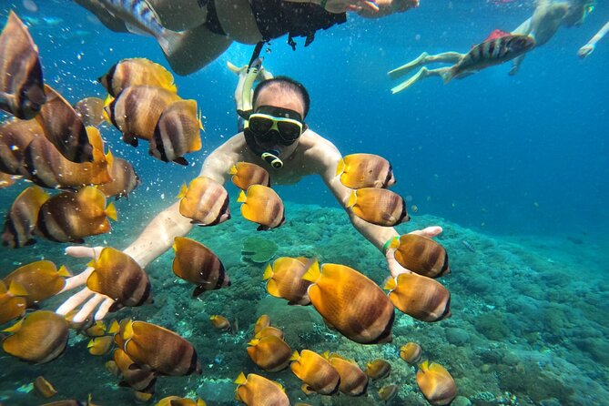 No:#1. Penida Island Tour And Snorkeling With Manta - The Penida manta plan, built around changing water conditions