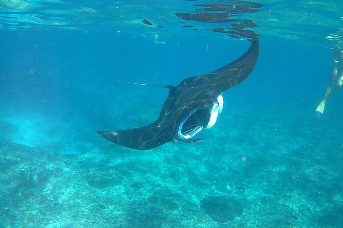 No:#1. Penida Island Tour And Snorkeling With Manta - Lunch, breaks, and avoiding the all-day snack trap