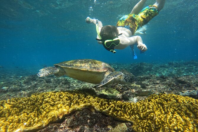 No:#1. Penida Island Tour And Snorkeling With Manta - Photos underwater and the reality of sharing your space