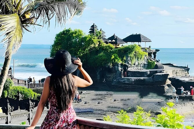 North Bali Nature Escape Rice Terraces, Temples & Waterfall - Private transportation and an English-speaking driver you can actually use