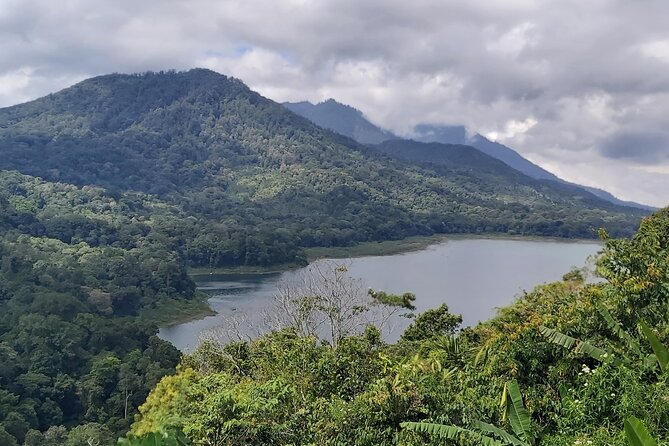 North Bali Private Tour - All Inclusive - Handara Iconic Gate: the photo stop you can treat as a quick win