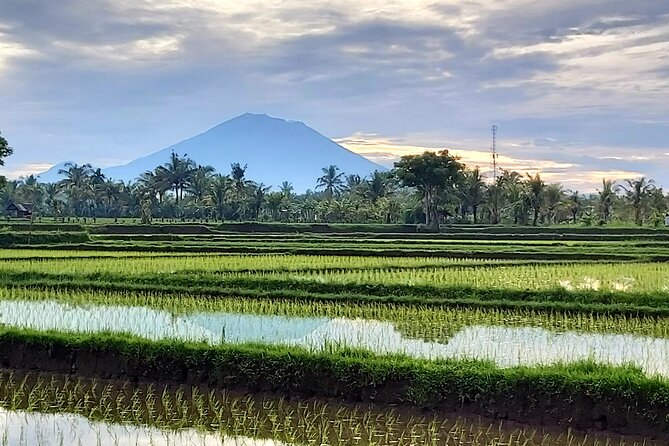 North Bali Private Tour - All Inclusive - Twin Lake View: the short pause between big sights