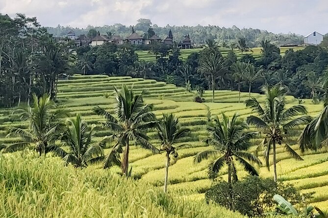 North Bali Private Tour - All Inclusive - Banyumala Twin Waterfalls: the walk, the payoff, and footwear advice