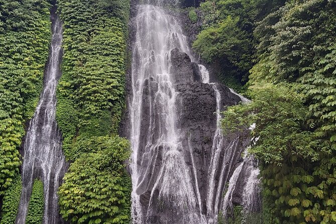 North Bali Private Tour - All Inclusive - Jatiluwih Green Land: big rice terraces and fresh air at altitude