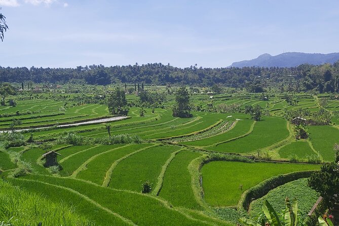 North Bali Private Tour - All Inclusive - Ulun Danu Bratan: a lake temple with built-in photo magic