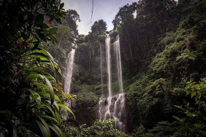 North Bali Tour: Banyumala Waterfall & Wanagiri Hidden Hills - Key Highlights Worth Your Time