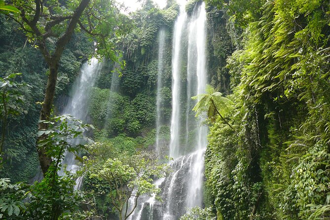 North Bali Tour: Banyumala Waterfall & Wanagiri Hidden Hills - Price and Value: Getting Tickets and Transfers for $80