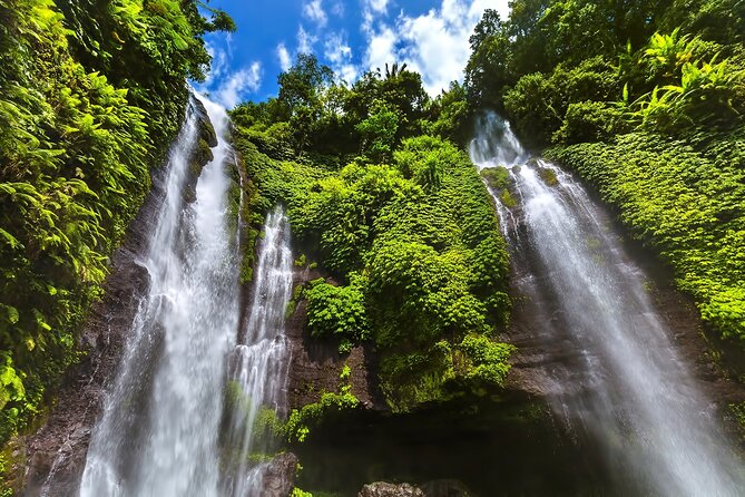 North Bali Tour: Banyumala Waterfall & Wanagiri Hidden Hills - Who This Private North Bali Tour Fits Best