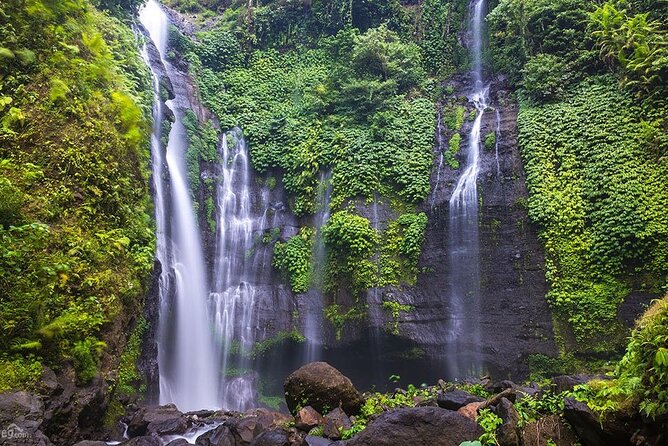 North Bali Tour: Banyumala Waterfall & Wanagiri Hidden Hills - How the 8:00 am Start Shapes Your Route