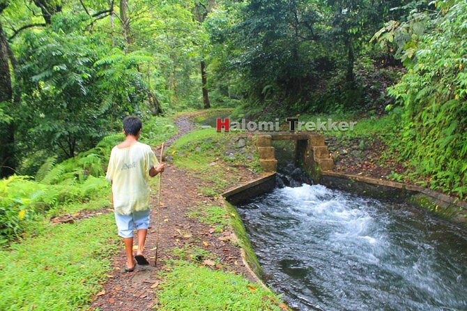 North Lombok Waterfalls - North Lombok Waterfalls in one half-day loop