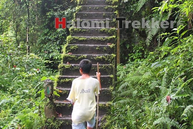 North Lombok Waterfalls - Masjid Bayan Beleq: the historic mosque stop