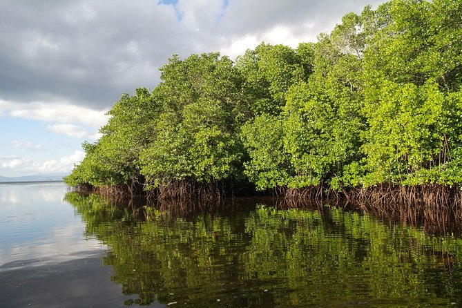 Nusa Lembongan Island: Snorkeling & Mangrove Forest Day Tour - Why Nusa Lembongan Feels Like the Right “Bali Break”