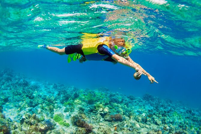 Nusa Lembongan Island: Snorkeling & Mangrove Forest Day Tour - Price and What You Actually Get for $143