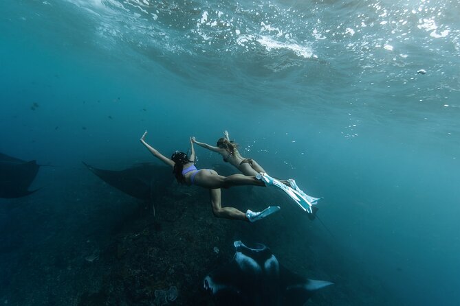 ️Nusa Penida by Private Boat - Snorkeling 4 spots, Swim with Mantas + Land Tour - Key highlights you should actually care about