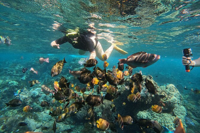 Nusa-Penida customize Tour - All inclusive - Kelingking Beach: the viewpoint that sells Penida