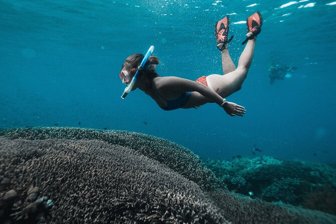 Nusa Penida day trip: boat, 4 snorkeling, Manta rays & Land tour - Sanur morning and fast-boat timing that keeps the day sane