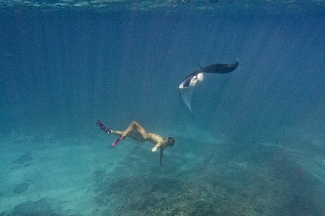 Nusa Penida day trip: boat, 4 snorkeling, Manta rays & Land tour - Manta Point swim: your best odds, with a reality check on conditions