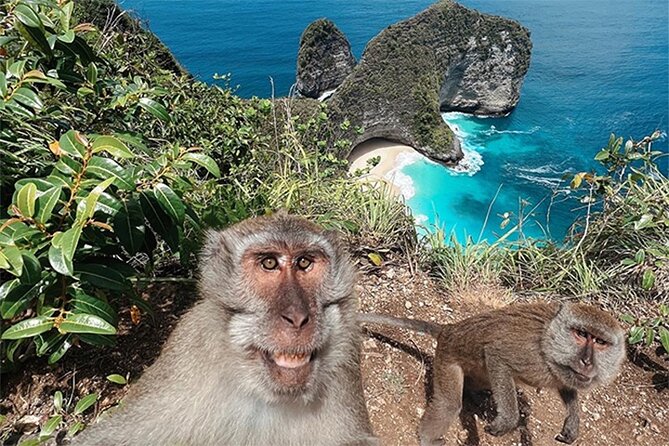 Nusa Penida day trip: boat, 4 snorkeling, Manta rays & Land tour - Safety, sea sickness, and who should choose this day trip