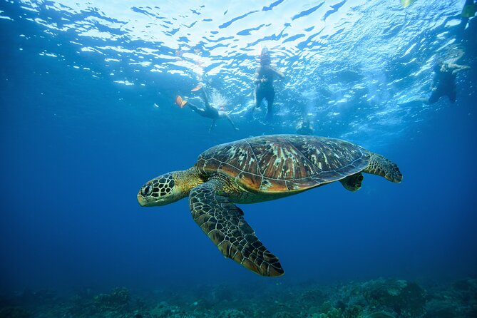 Nusa Penida day trip: boat, 4 snorkeling, Manta rays & Land tour - Should you book this Nusa Penida day trip?