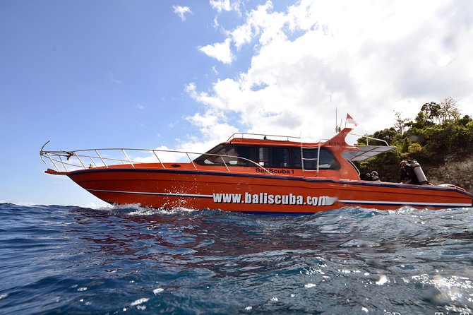 Nusa Penida Day Trip for 3 dives - Nusa Penida Is the Reason You’ll Set an Alarm